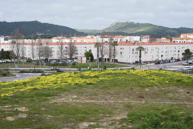 08-DSC 9867