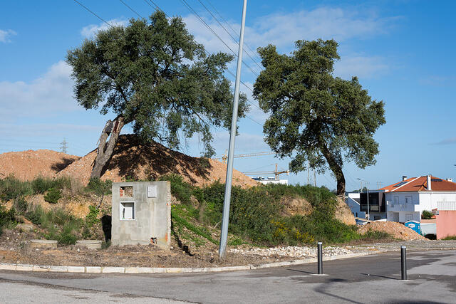 15-DSC 8704