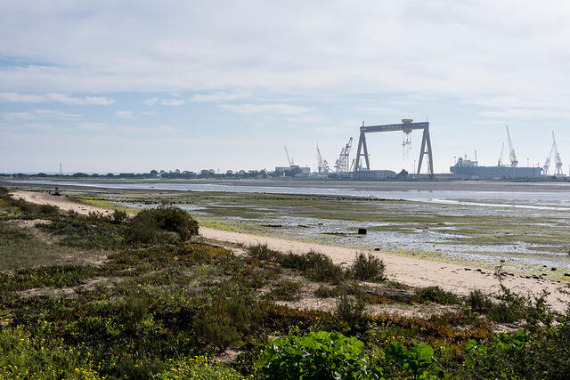 20-DSC 9248