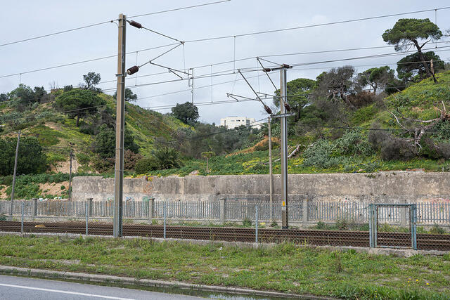 21-DSC 9576