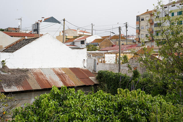 22-DSC 0117