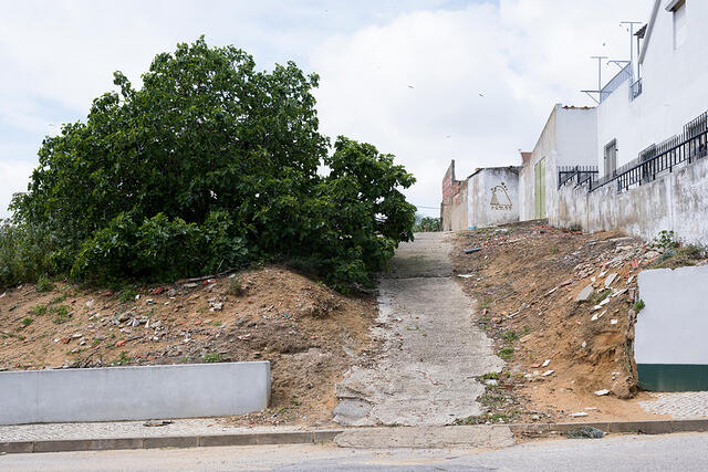 22-DSC 0181
