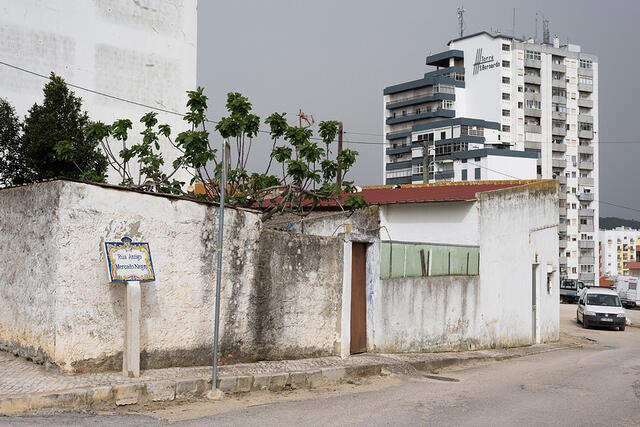 23-DSC 0090