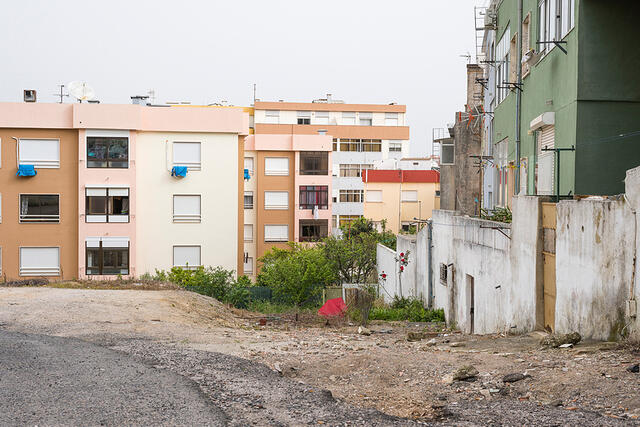 24-DSC 0062