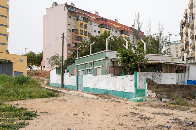 26-DSC 0080