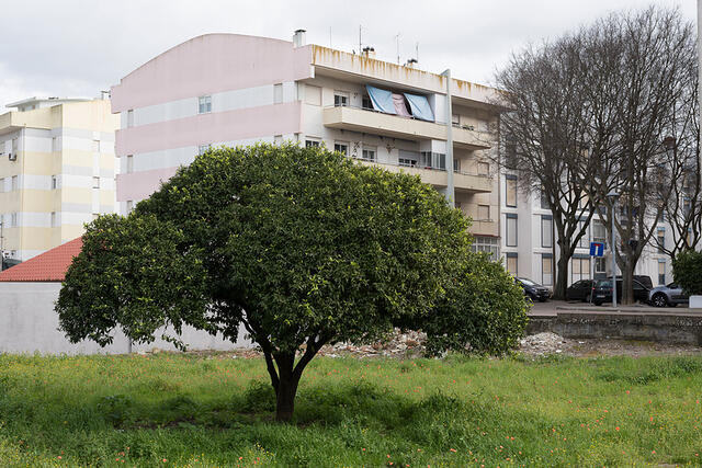 29-DSC 9658