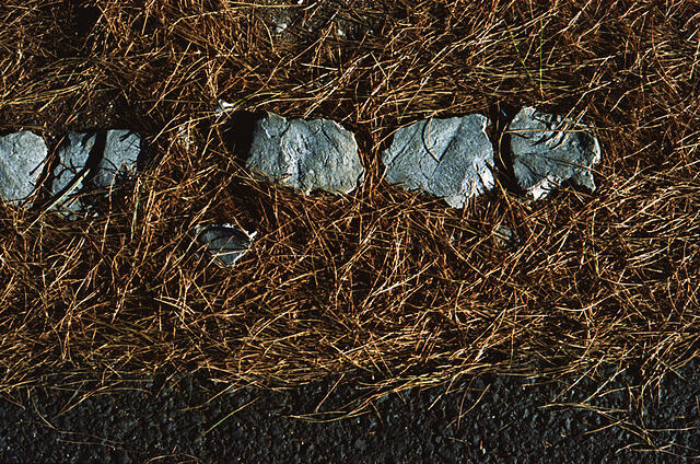 15092020-IMG 20200915 0011