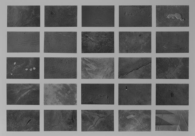 DSC 3328-1