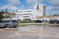 01-DSC 0153
