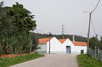 05-DSC 0121