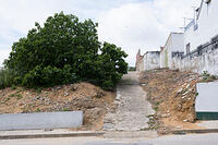 22-DSC 0181