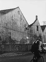 DSC 7236
