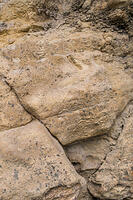 53DSC 0611-33