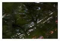  DSC0039-1-308